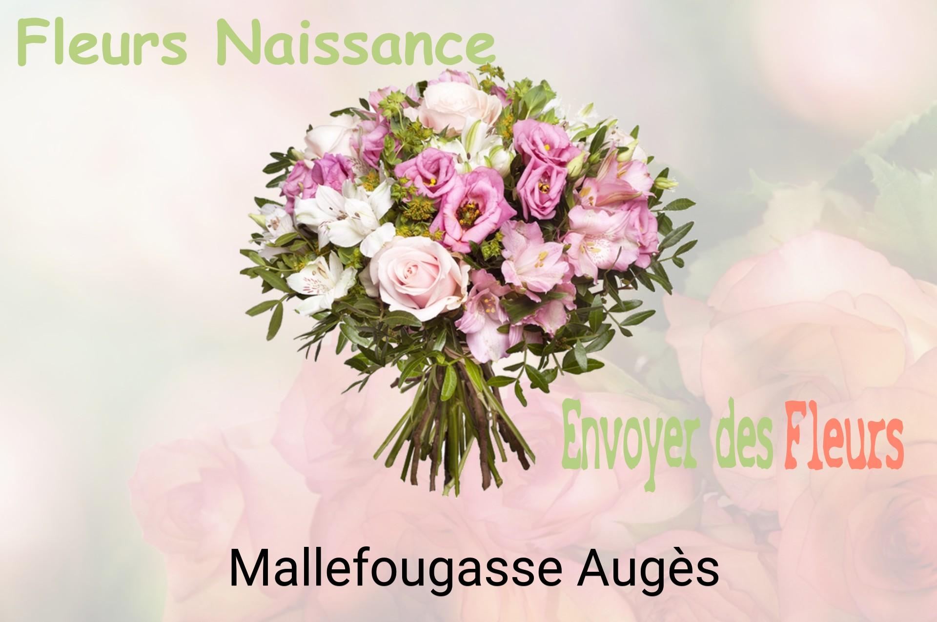 Bouquet de fleurs de naissance livré à Mallefougasse-Augès